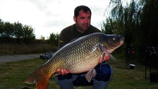 Boiliesmania - 2011